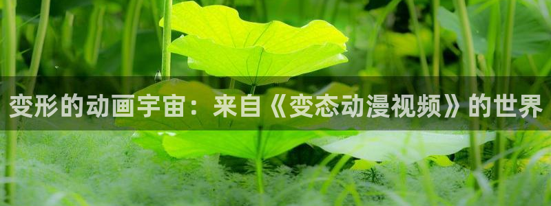 汗汗漫画高清全集阅读:变形的动画宇宙:来自《变态动漫视频》的世界配图