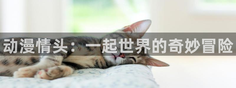 汗汗漫画在线看:动漫情头:一起世界的奇妙冒险配图