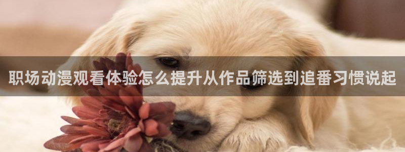 汗汗漫画免费完整版:职场动漫观看体验怎么提升从作品筛选到追番习惯说起配图