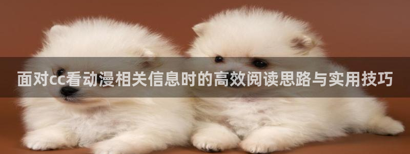 汗汗漫画高分作品大全:面对cc看动漫相关信息时的高效阅读思路与实用技巧配图