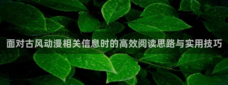 汗汗漫画推荐搜索:面对古风动漫相关信息时的高效阅读思路与实用技巧配图